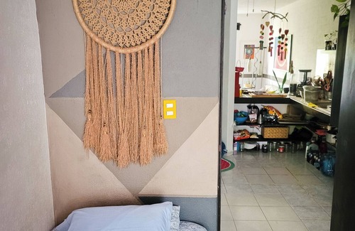 Puerto Juarez Bed & Breakfast | Cebra 28