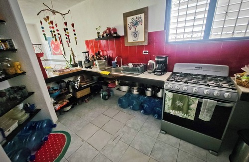 Puerto Juarez Bed & Breakfast | Cebra 28