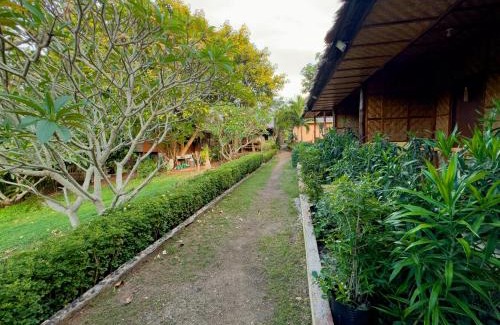 Siquijor House | Cecilia's Garden Guesthouse