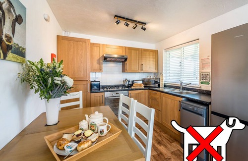 Otterham Cottage | Cedar cottage- Valley Cottage No 1