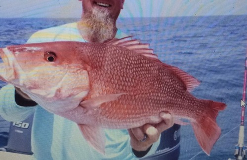 Cedar Key House | Cedar Key Fishing, Wildlife , BEACHES, PET FRIENDLY