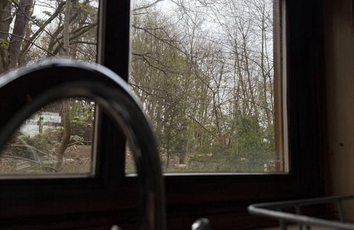 Bury St Edmunds Cabin | Cedar Lodge