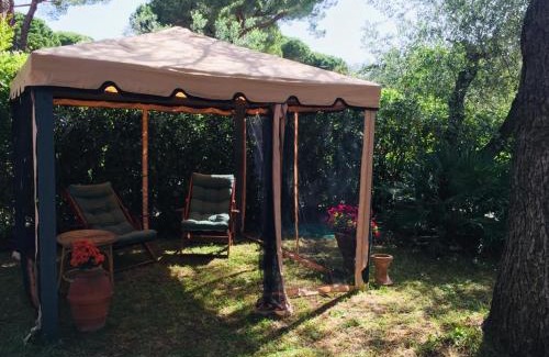 Castiglioncello Apartment | Cedro del Libano