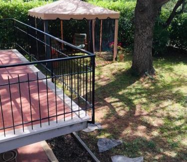 Castiglioncello Apartment | Cedro del Libano