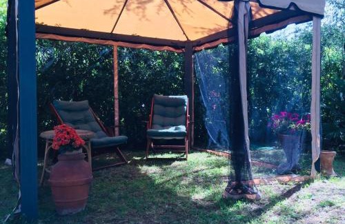 Castiglioncello Apartment | Cedro del Libano