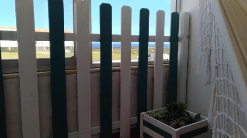 Aljezur Apartment | Cegonha do mar
