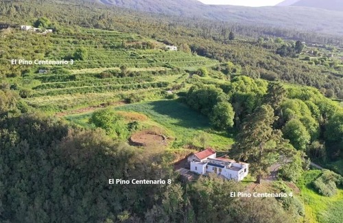 La Orotava Cottage | Centennial Pine XV Wifi & BBQ