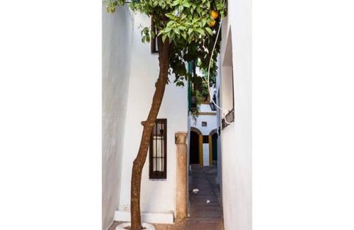 La Trinidad-San Juan y Todos los Santos Condo | CENTER- MEZQUITA 4 to 8 BEDS 2 x HAITACIóN AND SOFA