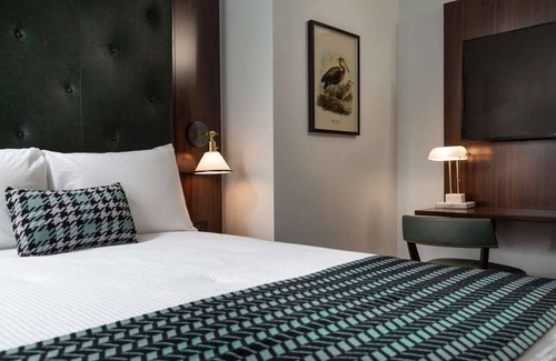 Roanoke Hotel | Center of Historic Roanoke, Boutique Hotel Close to Restaurants, Museums & More!
