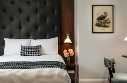 Roanoke Hotel | Center of Historic Roanoke, Boutique Hotel Close to Restaurants, Museums & More!