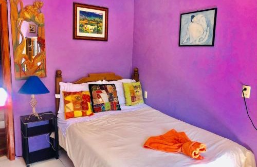 De Guadalupe Apartment | Central Comfy Small Studio