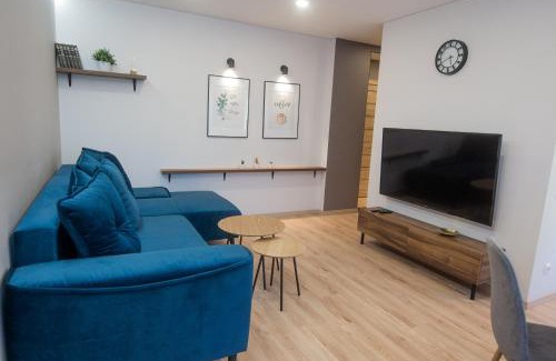 Druskininkai Apartment | Central and Relaxing apartment