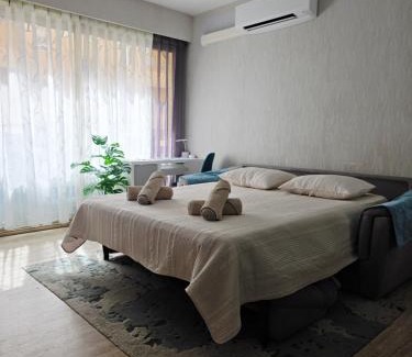 Menton Apartment | Central Menton Near Monaco