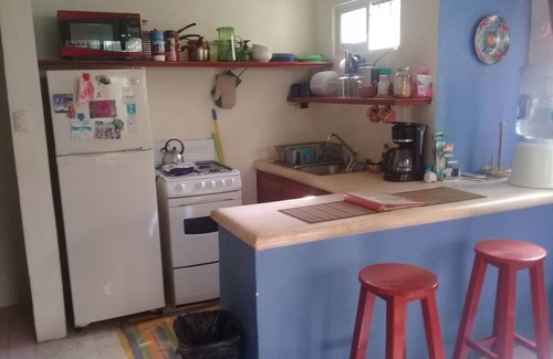 Tohoku Apartment | Central Playa with private patio. Close to everything.