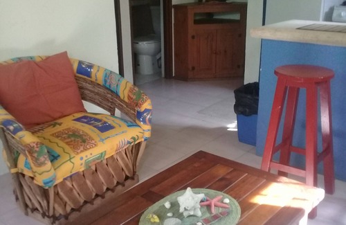 Tohoku Apartment | Central Playa with private patio. Close to everything.