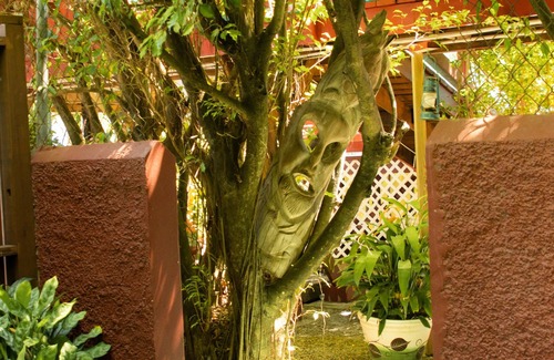 Belize City House | CentralCity™ “Paradise” Private Mini Resort & Pool