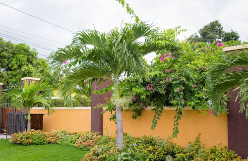 Molynes Gardens Apartment | Centrally Located Guest Apartments II