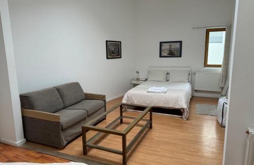 Quartier Saint-Gery - Sint-Gorikswijk Apartment | Centre de Bruxelles, Studio D