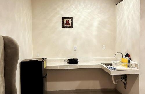 Colonia 5 de Diciembre Apartment | Centrico loft6 en Pto Vallarta