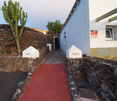 Femes House | Centro Ave Fénix