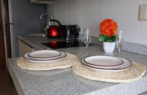 Osorno Apartment | Centro Osorno Express