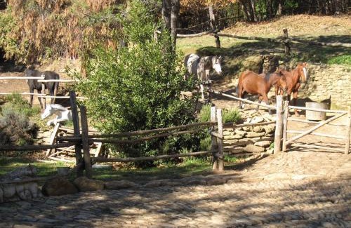Colonnata Cabin | Centro Trekking a Cavallo Monte Brugiana