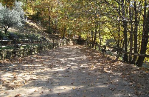 Colonnata Cabin | Centro Trekking a Cavallo Monte Brugiana