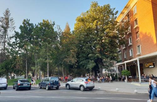 Galati Apartment | CERONAV CityCenter - DisneyTV!