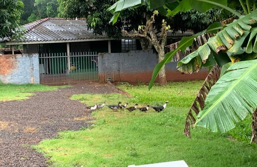 Foz do Iguacu Other | Chácara Ilha Grande