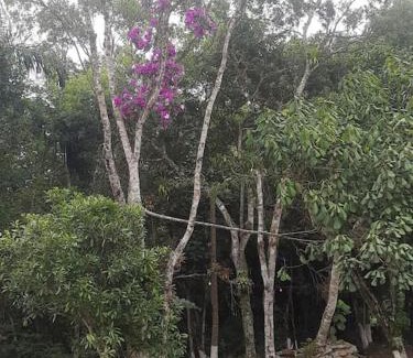 Mogi das Cruzes House | Chácara Rancho da Felicidade