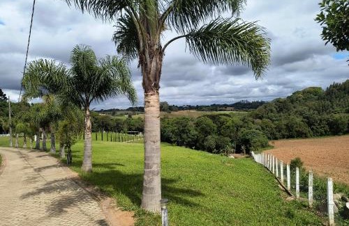 Araucaria Apartment | Chácara Santo Antonio