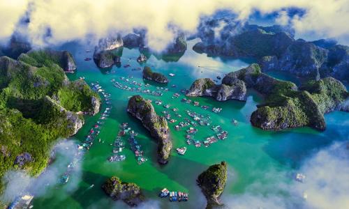 Cat Hai Hotel | CHÂN TRỜI MỚI -NEW HORIZON HOTEL
