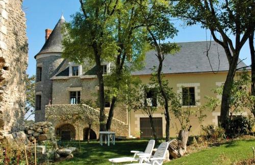 Saint-Bauld House | Château médiéval avec piscine privée et jardin, animaux acceptés - FR-1-381-410