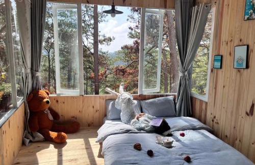 Da Lat House | Chốn Nhỏ Homestay Đà Lạt