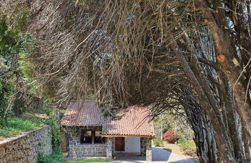 Vila Poran Ski Chalet | Chalé aconchegante na Vila Inglesa