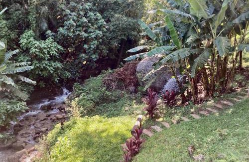 Nova Friburgo House | Chalé aconchegante cercado pelo verde