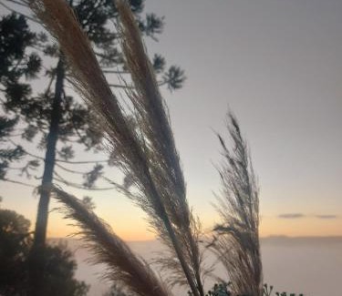 Bom Jardim da Serra House | Chalé com banheira de hidromassagem e mesa de sinuca