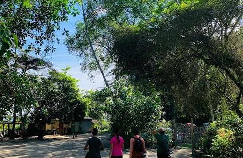 Paraty Other | Chalé e Camping Paraty Mirim