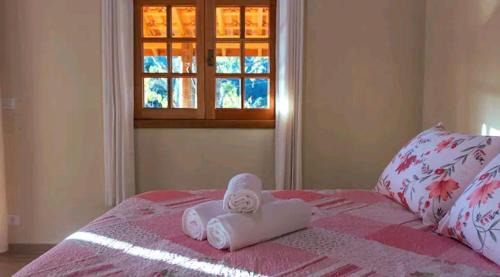 Sapucai-Mirim Ski Chalet | Chalé Flor de ypê