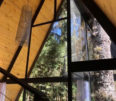 Campos do Jordao Ski Chalet | Chalé Mon Amour 3