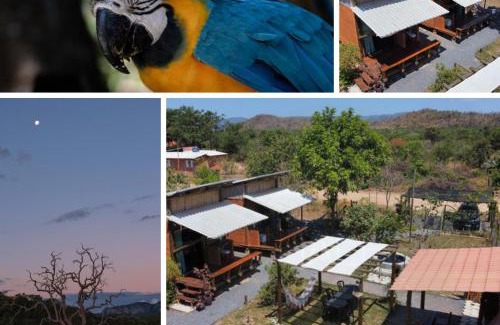 Cavalcante Cabin | Chalés Aurora