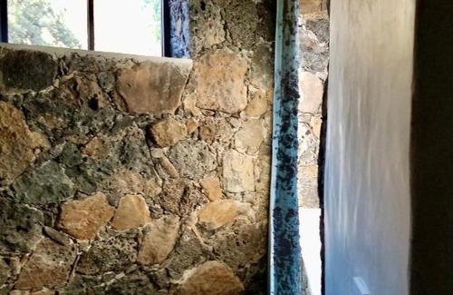 Amatlan Other | Chalchiucalli Amatlan