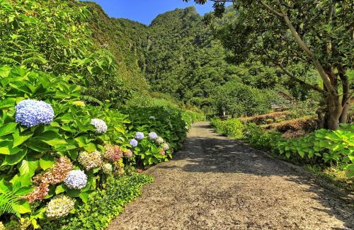 Sao Vicente Ski Chalet | Chale Jardim De Cima