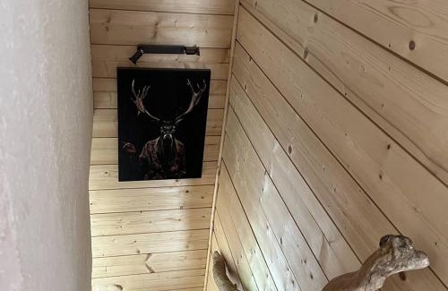 Cauterets Ski Chalet | Chalet à Cauterets/6 pers/Parking privatif - FR-1-234-318