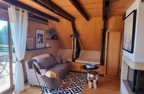 Saint-Michel-de-Chaillol Ski Chalet | Chalet équipé 6 personnes avec cheminée et animaux admis - FR-1-393-159