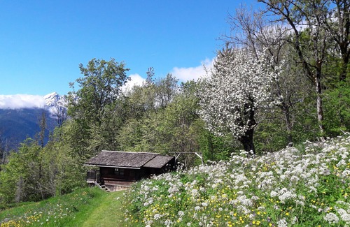 Hauteluce Ski Chalet | chalet - 2 rooms - 2/3 persons