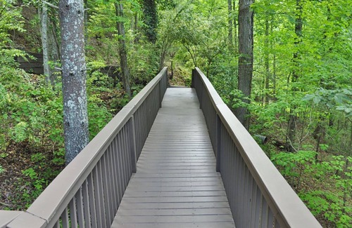 Big Canoe Ski Chalet | Chalet 35 - Unwind with Treetop Views, Splash at Community Pools, & Hike Trails