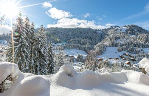La Clusaz Ski Chalet | Chalet 4 Étoiles 13 Pers. à La Clusaz - Grande Terrasse, Garage, WIFI, Arrêt Skibus à Proximité - FR-1-437-81