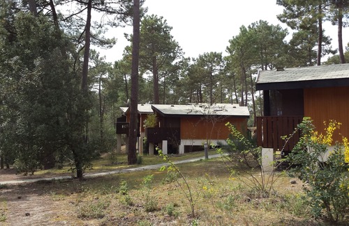 Maubuisson Ski Chalet | Chalet 4-6 people under the pines at Bombannes