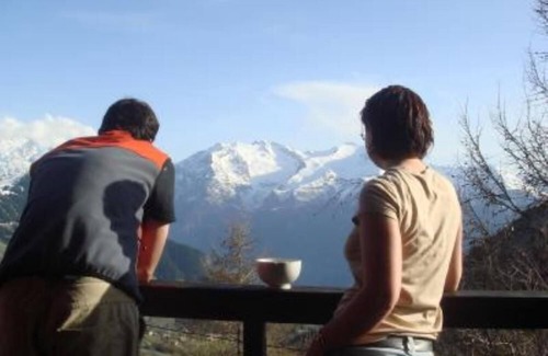 Viel-Alpe Ski Chalet | Chalet - Alpe d'Huez